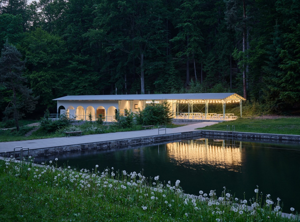 forest pool by mjolk architekti