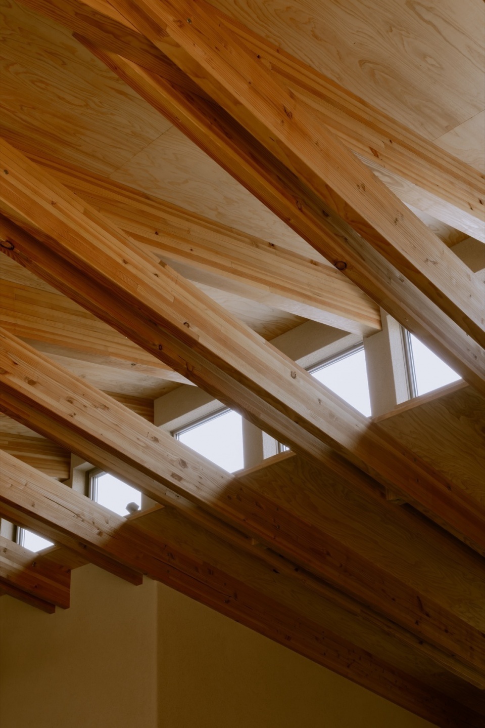 House in Yakumo by koooarchitects Kazuaki Isoda