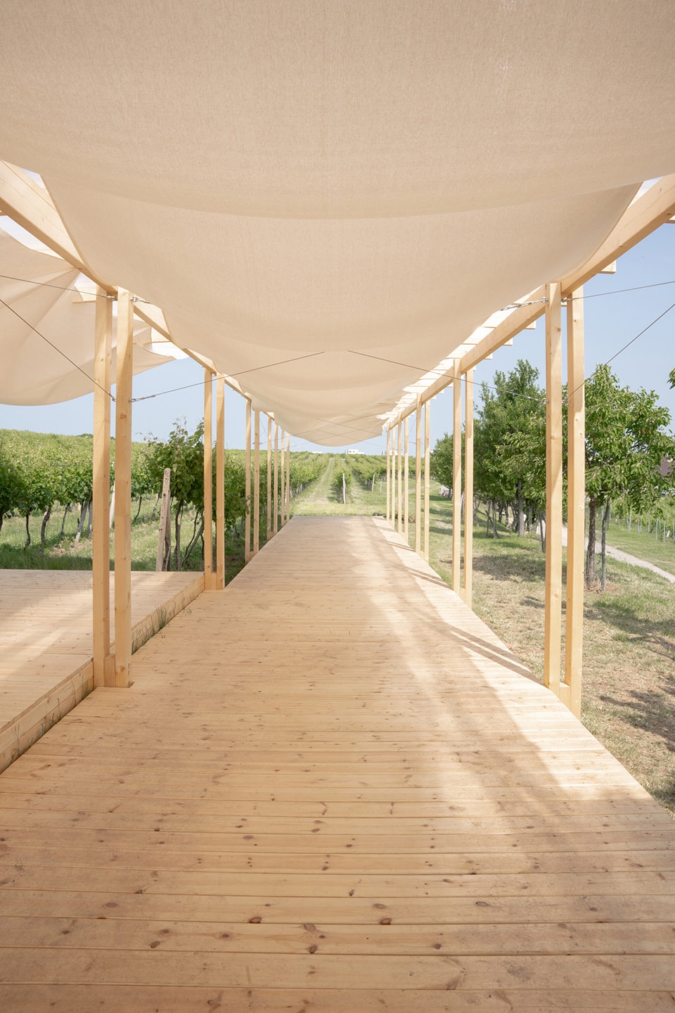 the zeny vino funk zvf festival by jakub kolarovic architects
