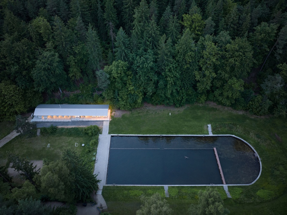 forest pool by mjolk architekti