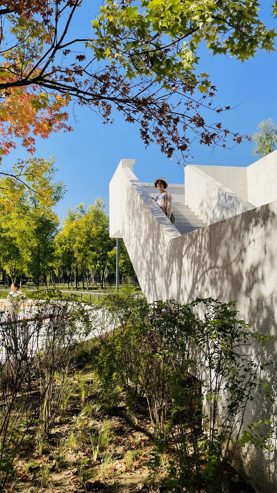 aobei forest park by beilin landscape folie architecture
