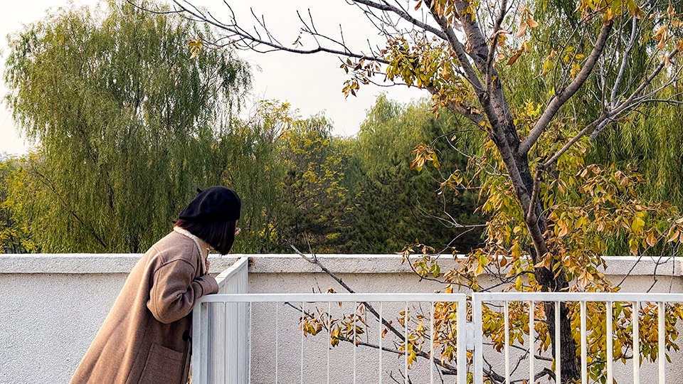 aobei forest park by beilin landscape folie architecture