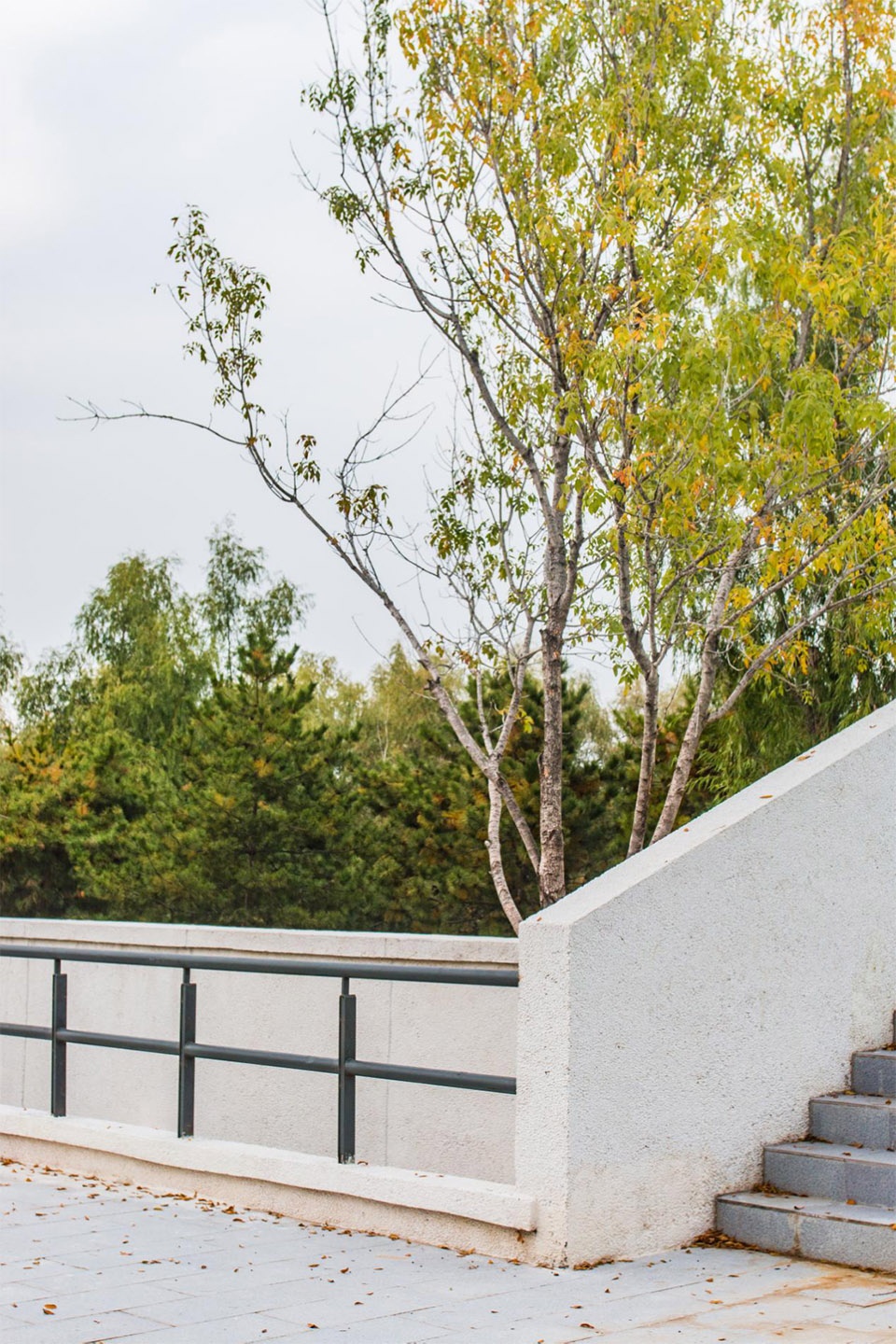 aobei forest park by beilin landscape folie architecture
