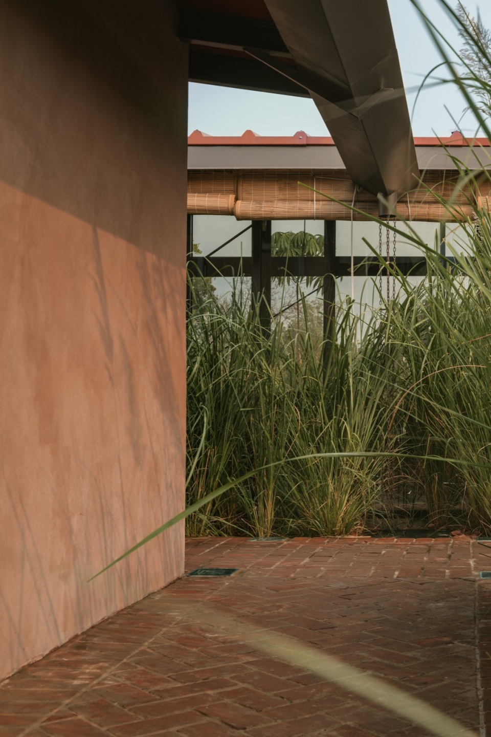 New office Oasis by Studio Saransh