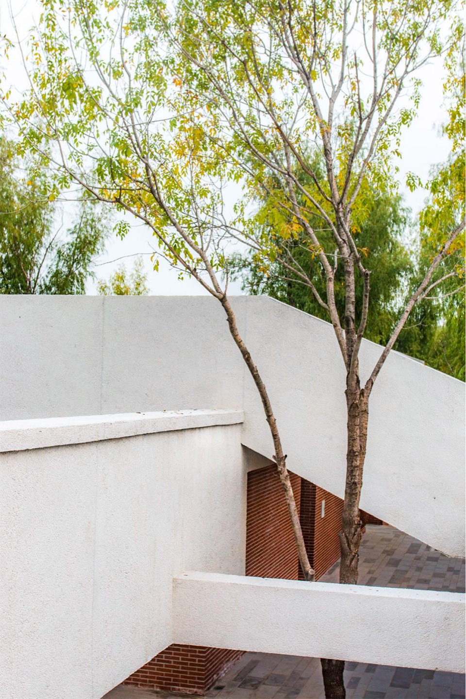 aobei forest park by beilin landscape folie architecture