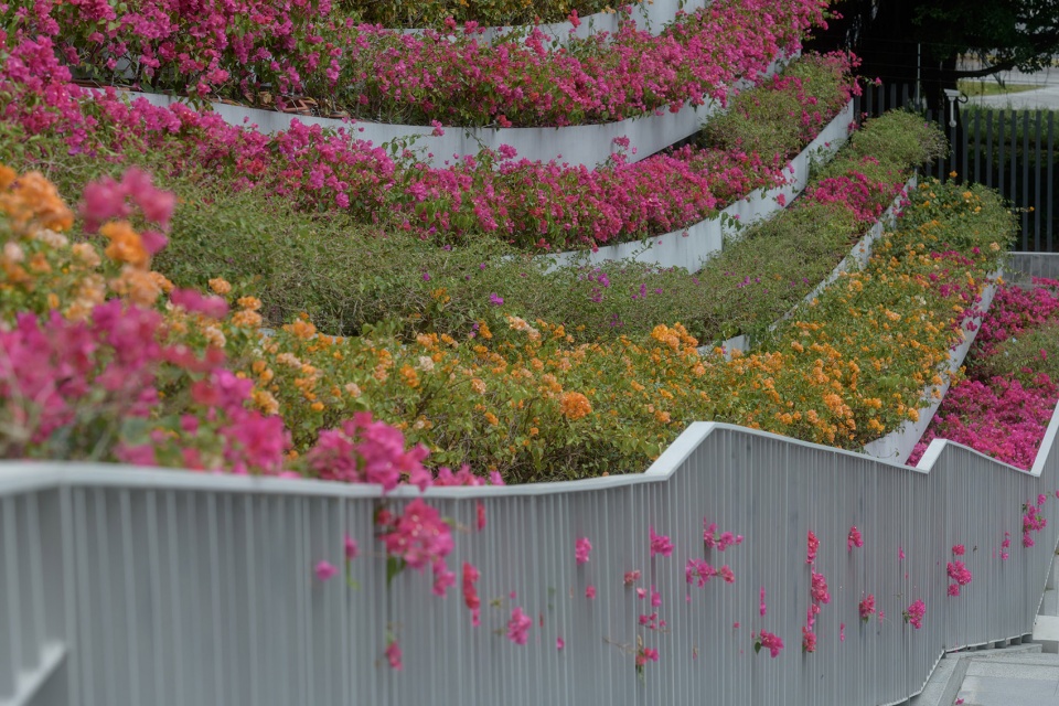 infinity garden by atelier scale