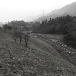西华大学宜宾产教融合实训基地 / 非常建筑
