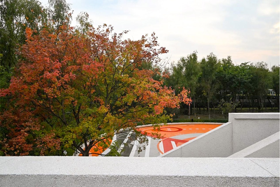 aobei forest park by beilin landscape folie architecture