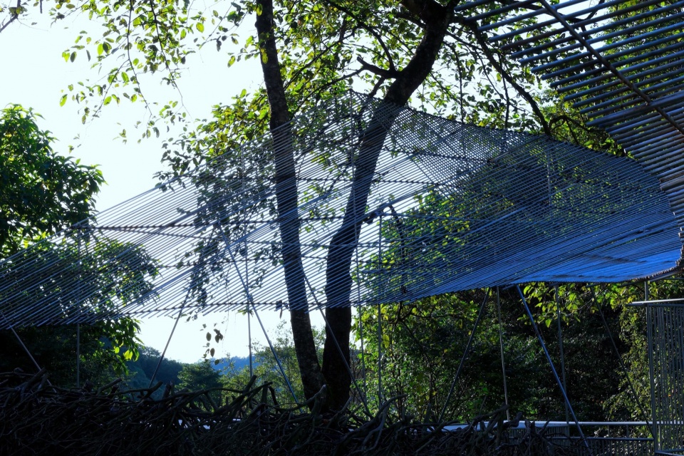 Dali Wuliang Mountain s Phoenix Feather Tea Pavilion by Kong Xiangwei Studio