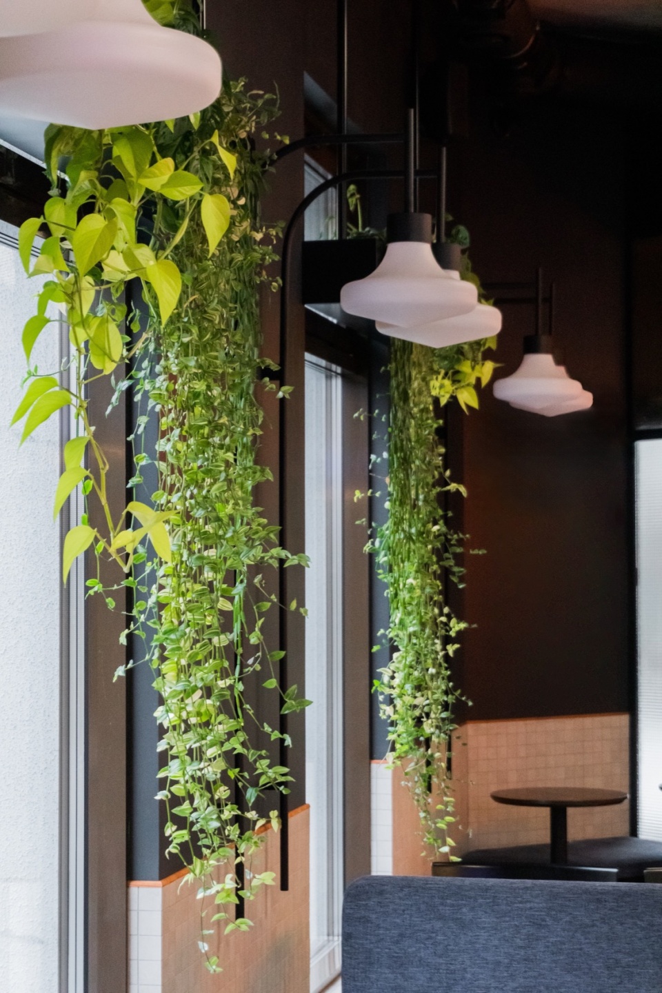 Smartass Kharkiv by Smartass Design Studio