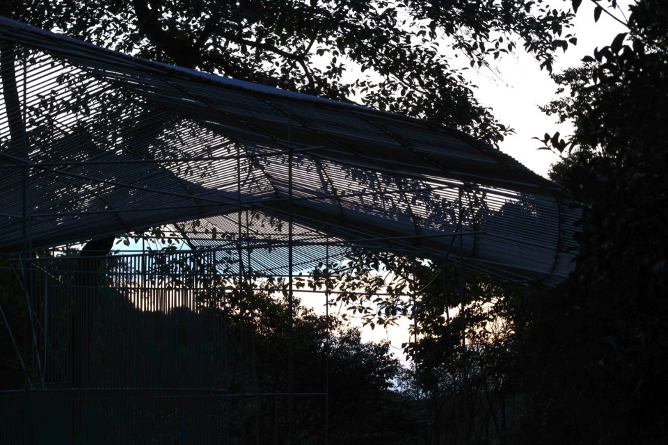 Dali Wuliang Mountain s Phoenix Feather Tea Pavilion by Kong Xiangwei Studio