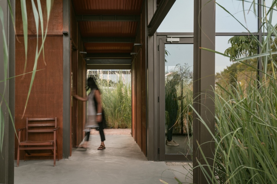 New office Oasis by Studio Saransh