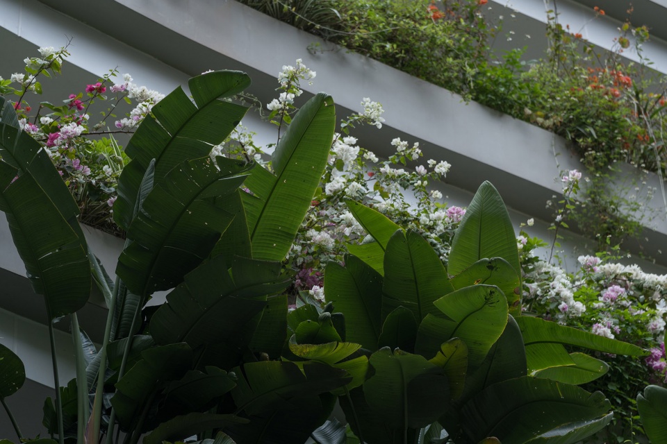 infinity garden by atelier scale