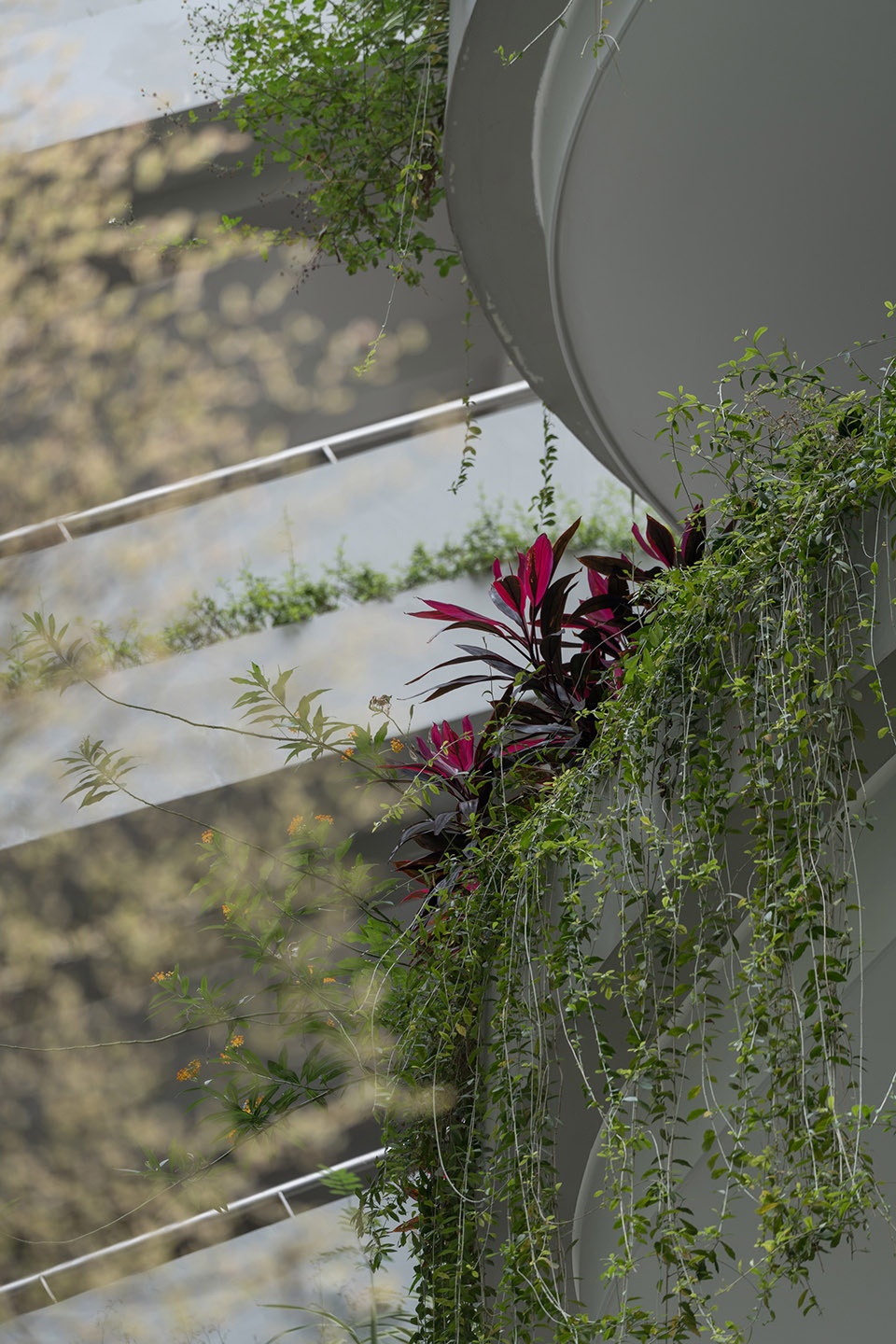 infinity garden by atelier scale