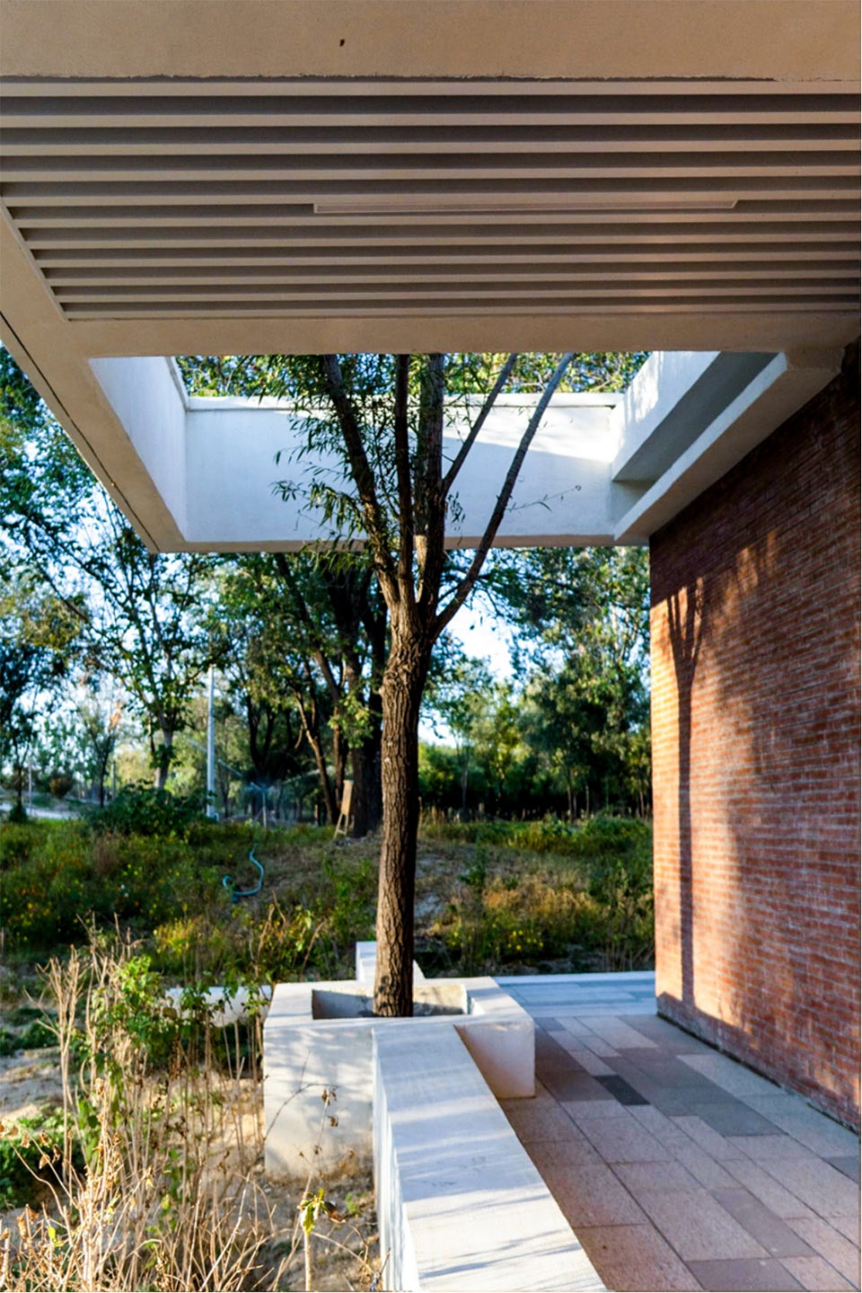 aobei forest park by beilin landscape folie architecture