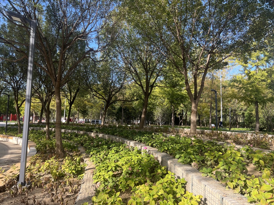 aobei forest park by beilin landscape folie architecture