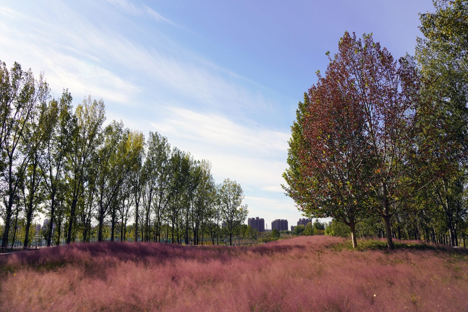 aobei forest park by beilin landscape folie architecture