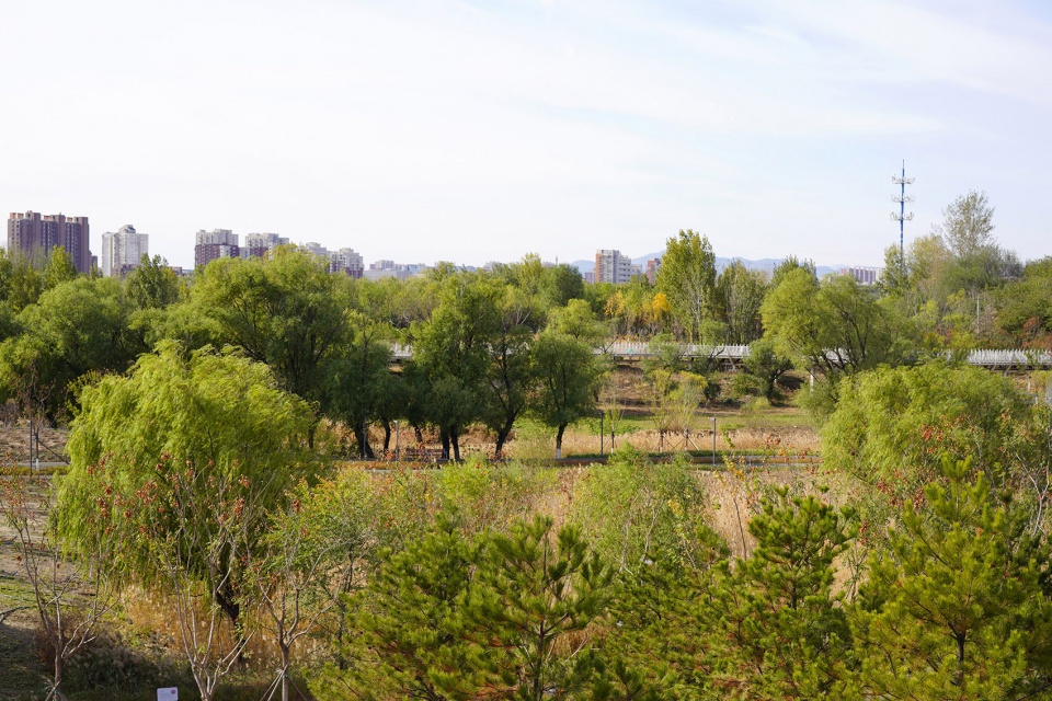 aobei forest park by beilin landscape folie architecture