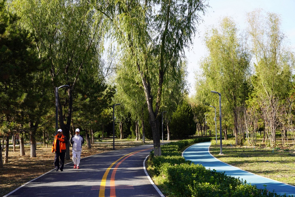 aobei forest park by beilin landscape folie architecture