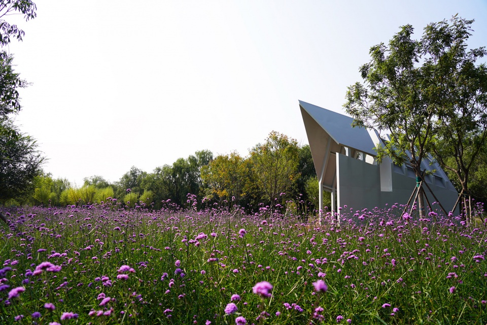 aobei forest park by beilin landscape folie architecture