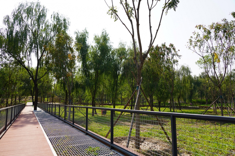 aobei forest park by beilin landscape folie architecture