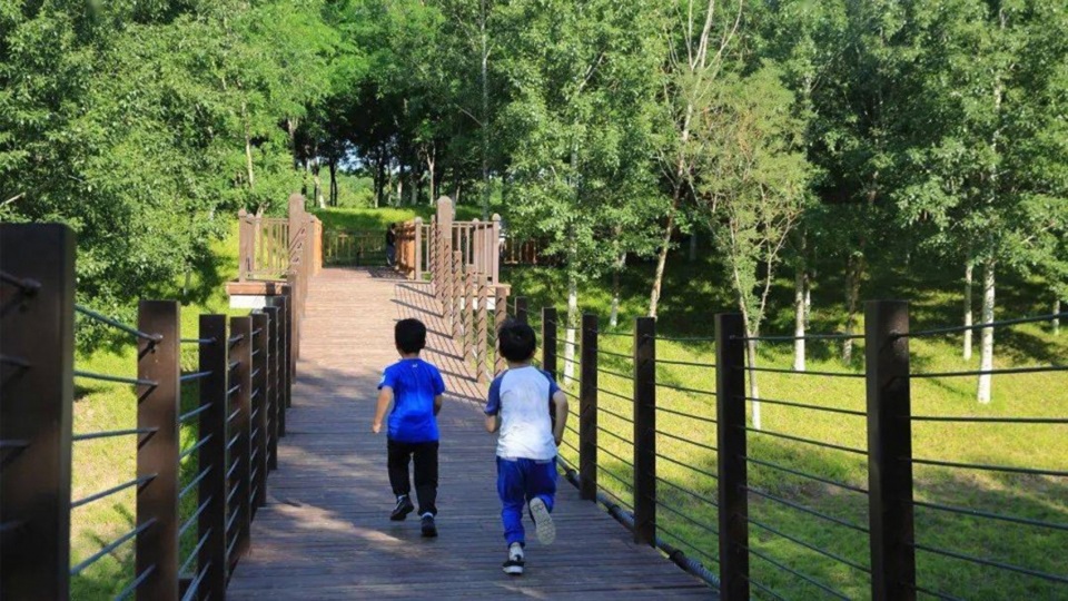 Construction of Beijing Chaolai Forest Park Phase III by DDON