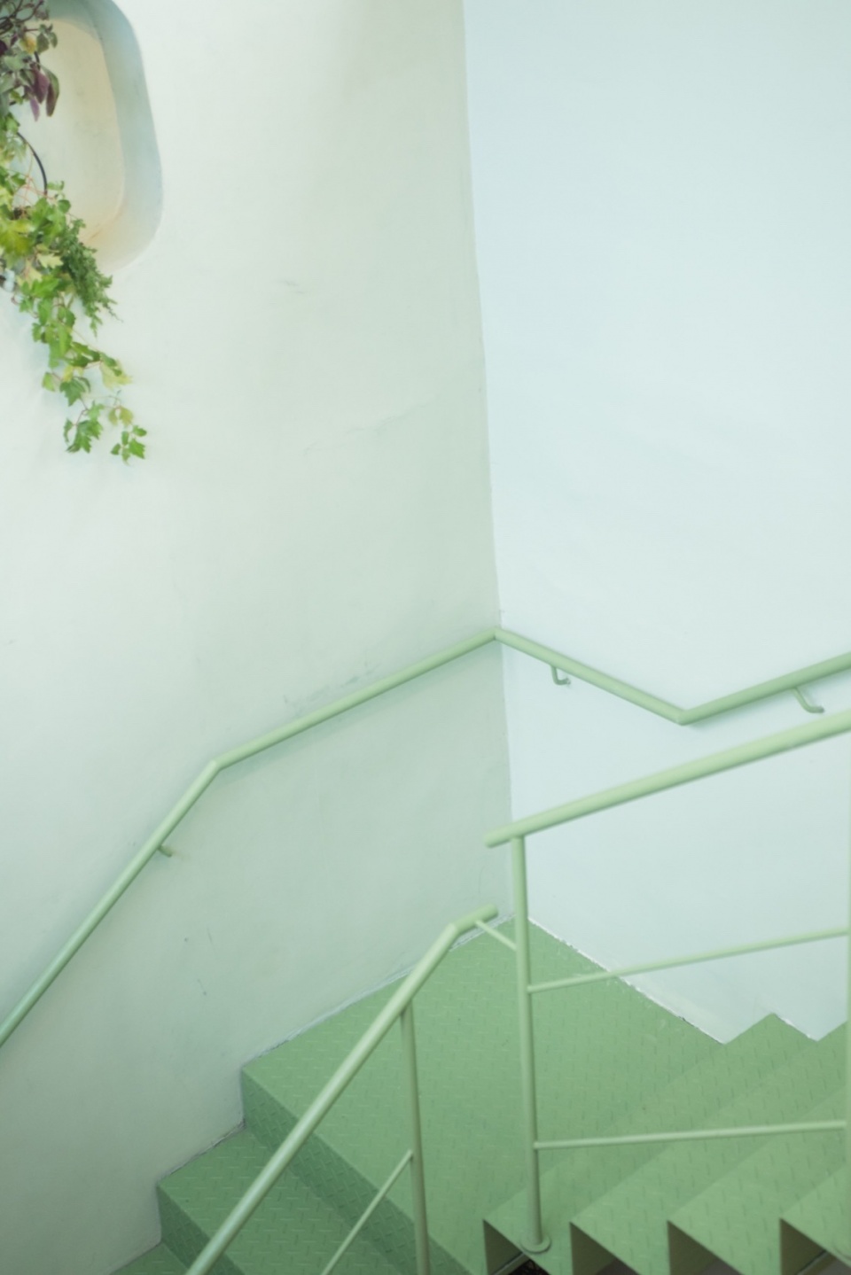 VERDIN by Ohio Estudio