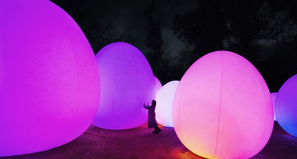 forest of autonomous resonating life by teamlab