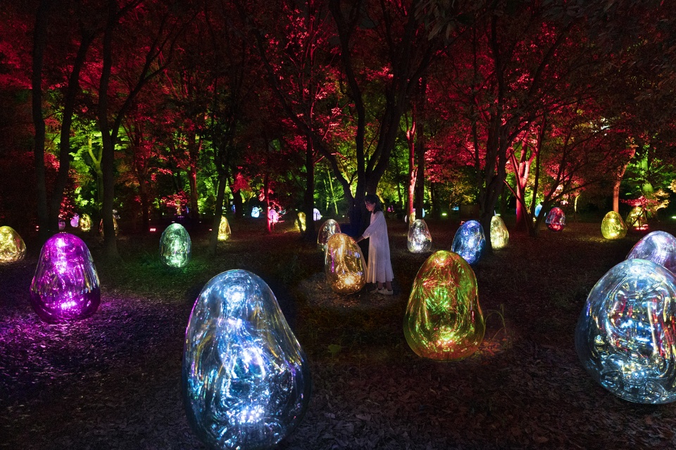 resonating microcosms in the common camellia garden by teamlab