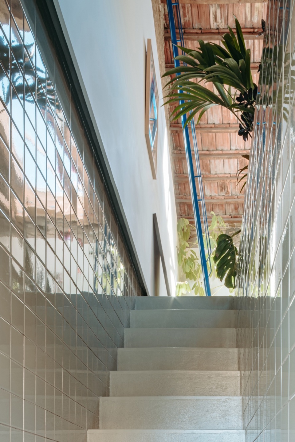 Cruda House by MEII ESTUDIO