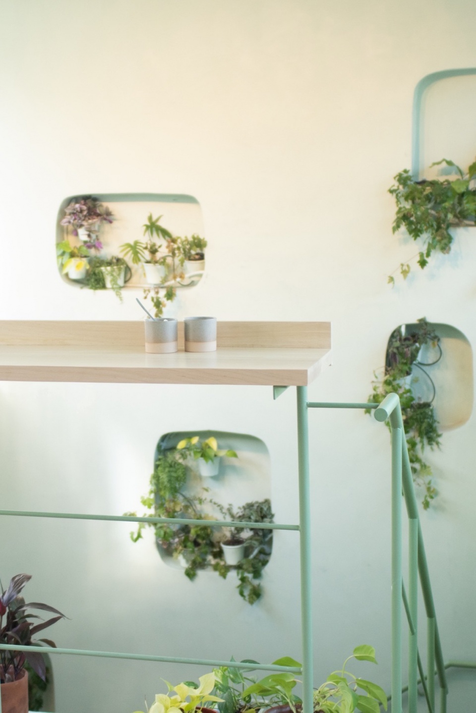 VERDIN by Ohio Estudio