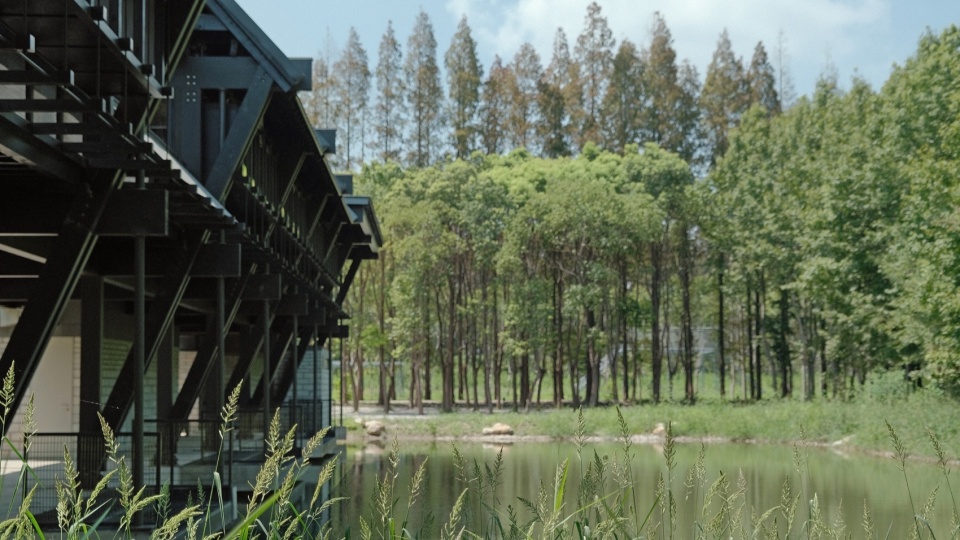 Dongliang Xuan