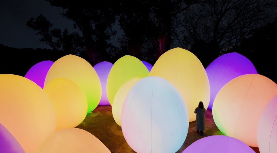 forest of autonomous resonating life by teamlab