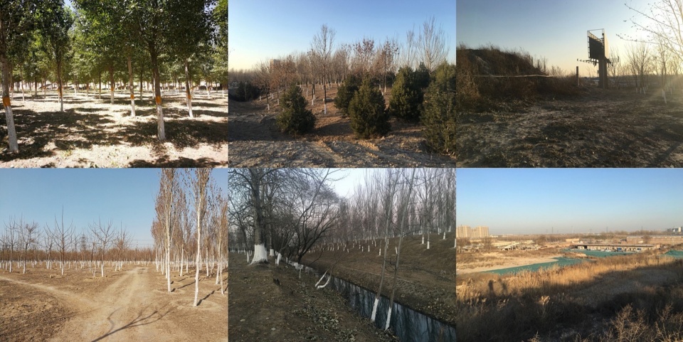 Construction of Beijing Chaolai Forest Park Phase III by DDON