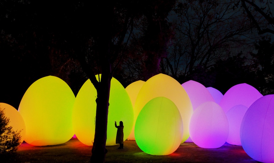 forest of autonomous resonating life by teamlab
