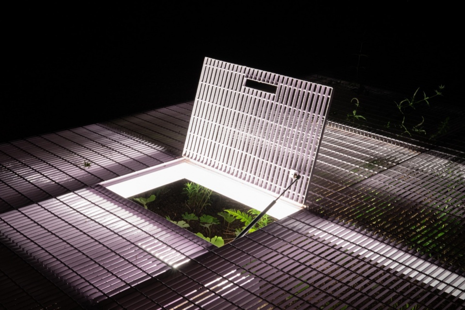 26th International Garden Festival