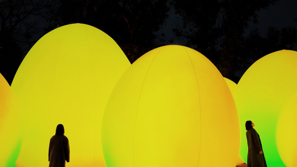forest of autonomous resonating life by teamlab