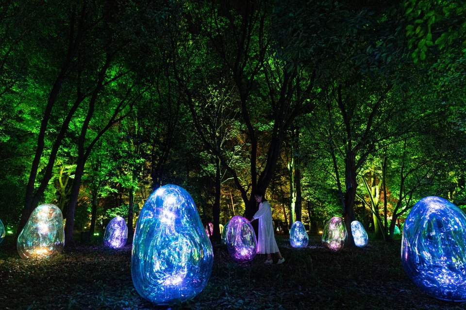 resonating microcosms in the common camellia garden by teamlab