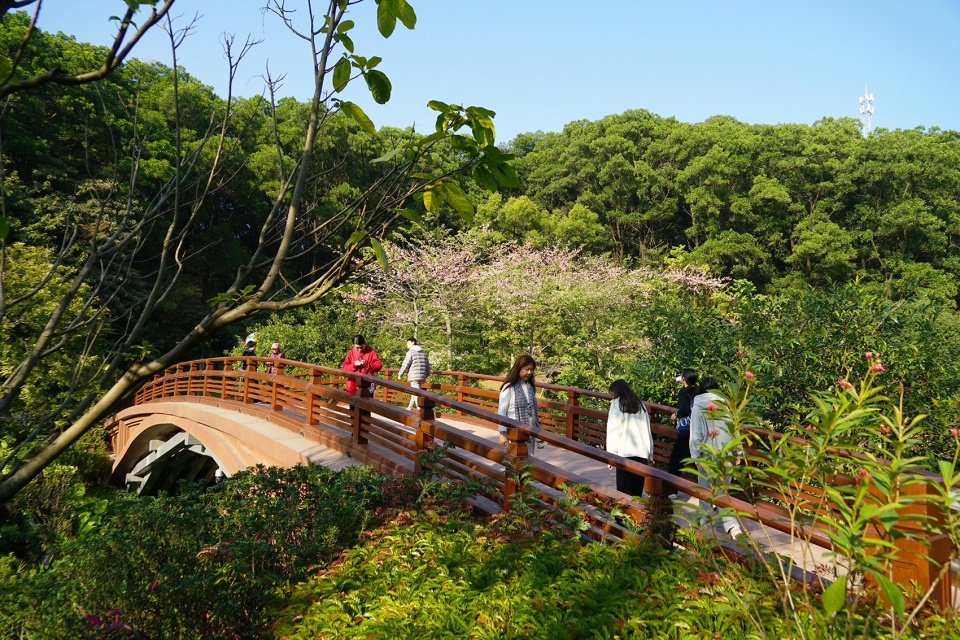 comprehensive landscape design for guangzhou yunxi botanical gardens environmental enhancement project by aecom