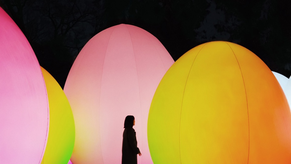 forest of autonomous resonating life by teamlab