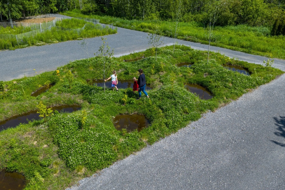 26th International Garden Festival