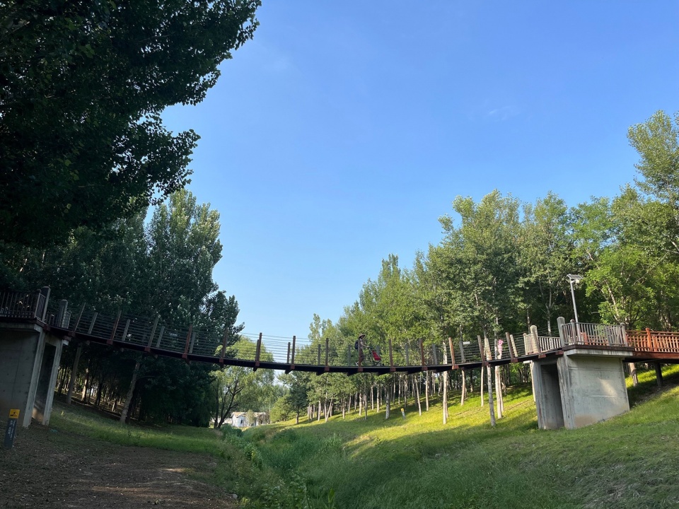 Construction of Beijing Chaolai Forest Park Phase III by DDON