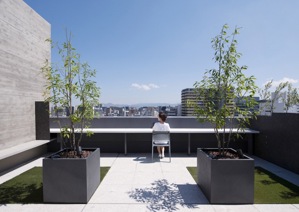 vectors in fukuoka by sako architects