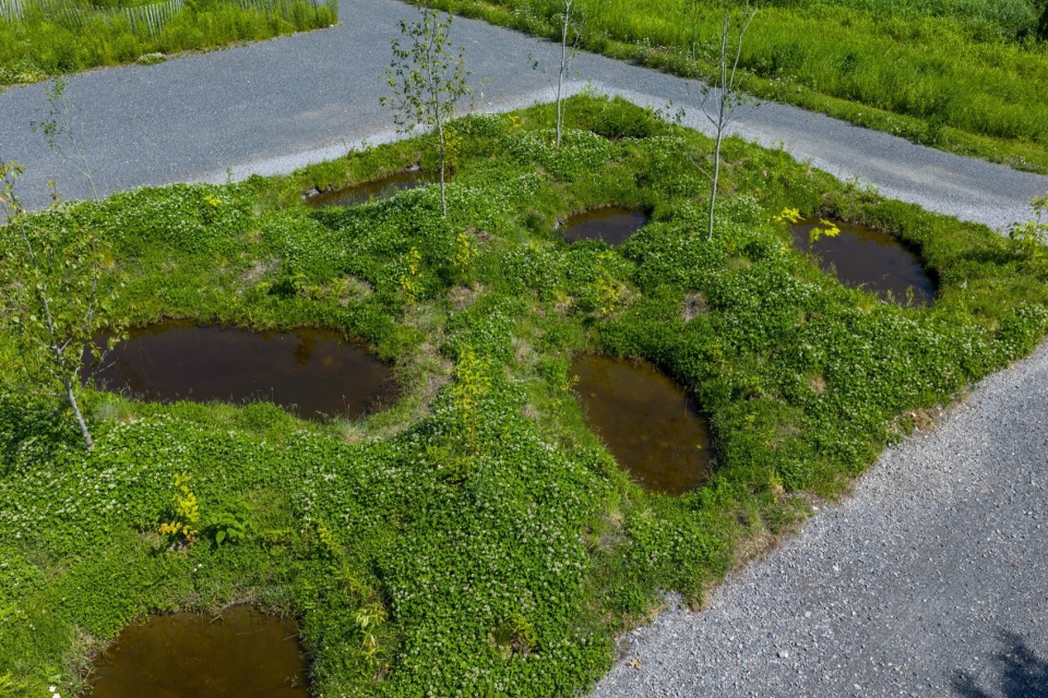26th International Garden Festival