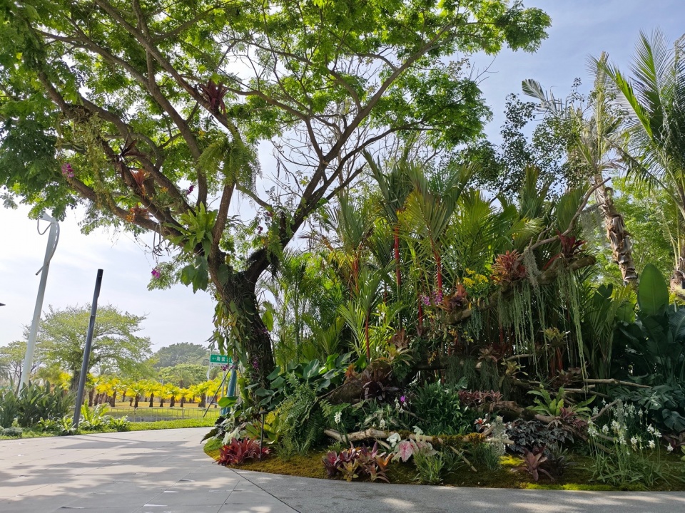 Ecological Construction of the Broad leaved Shallow Stream Section in Sanya Haitang River Ecological Park by LOLA Landscape Architecture...