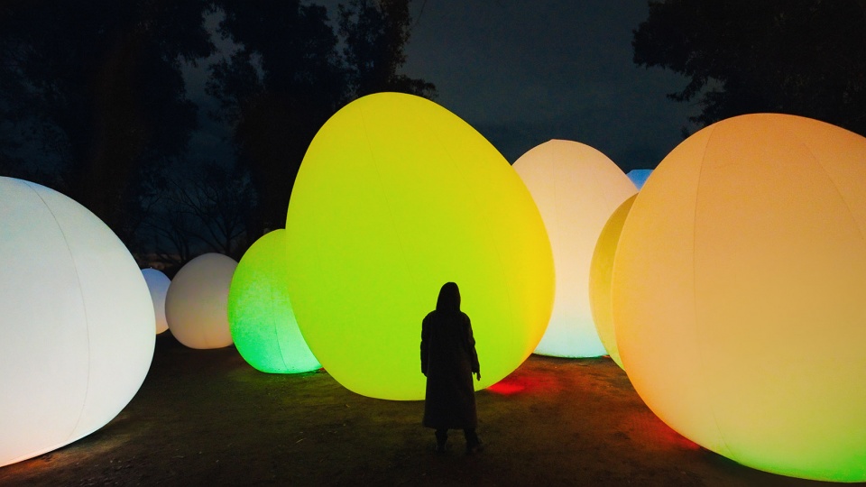 forest of autonomous resonating life by teamlab