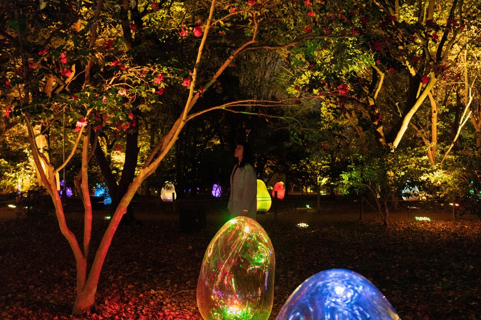 resonating microcosms in the common camellia garden by teamlab