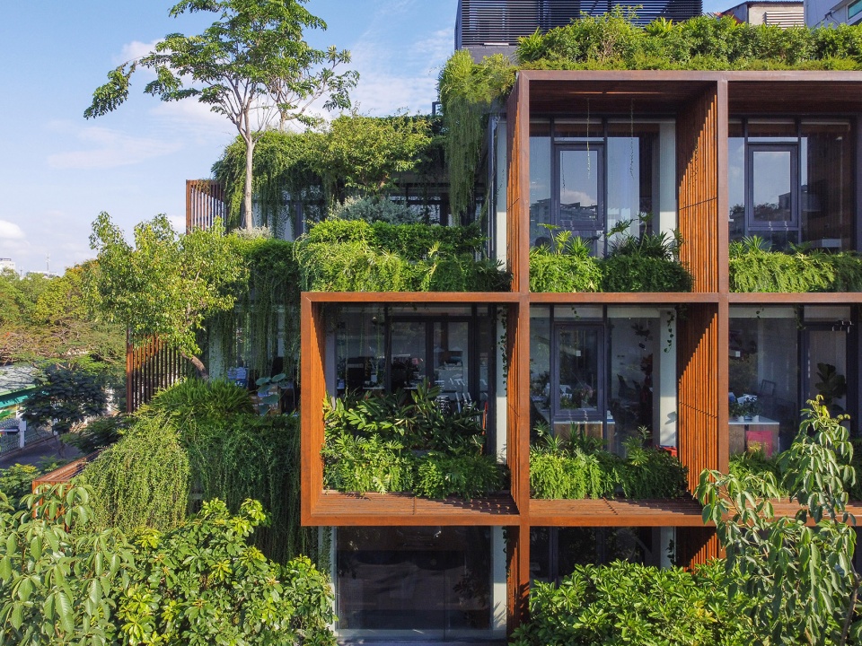 tony fruit office by taa design