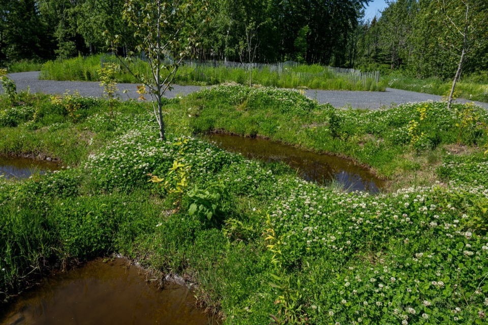 26th International Garden Festival