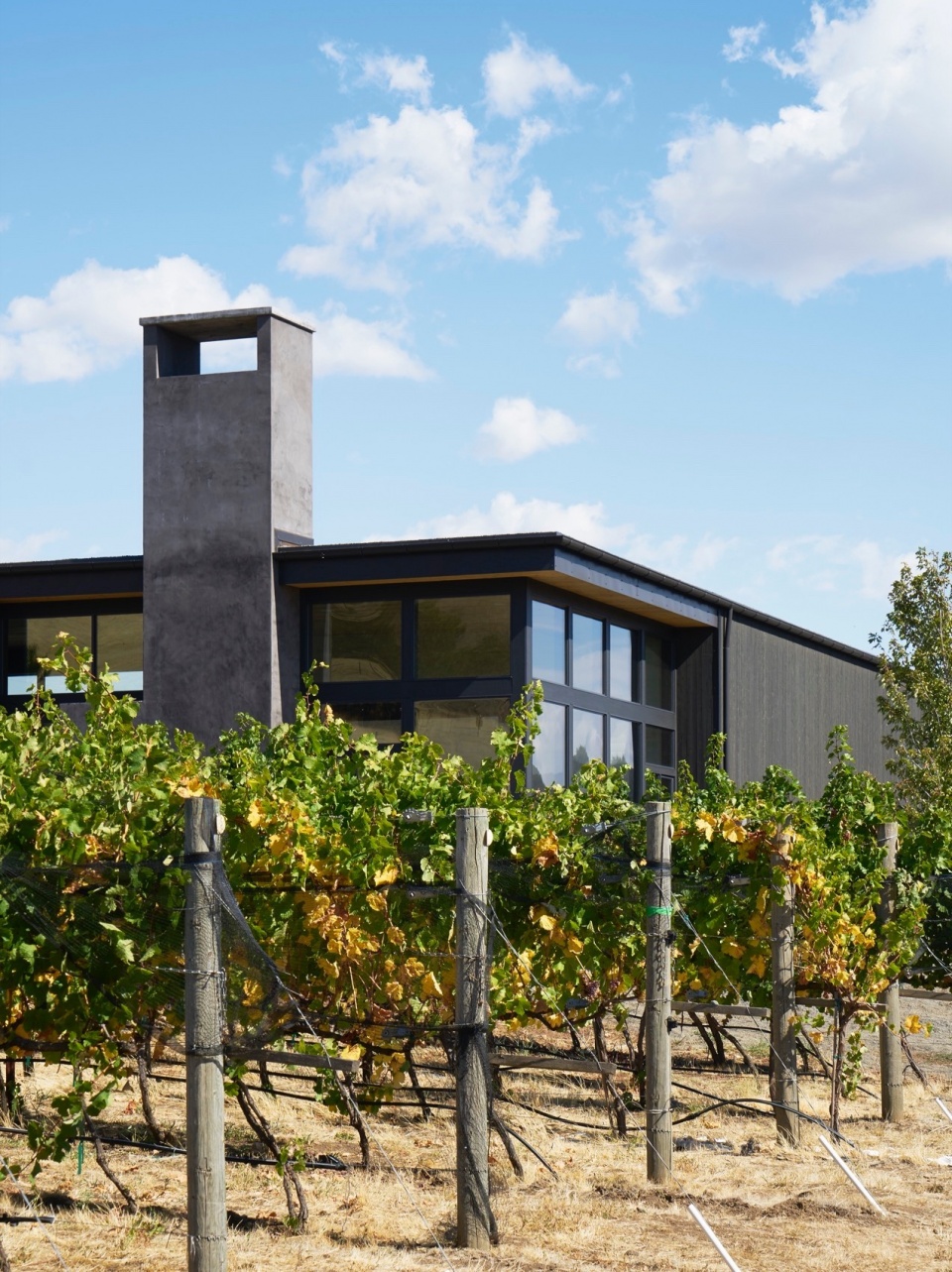 COR Cellars by GO C